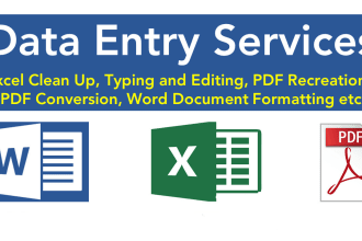 do extra fast typing,document,pdf,your pro typist