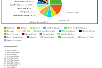 analyze your ancestry dna