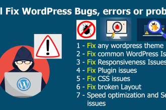 fix wordpress errors, bugs, issues and do optimization