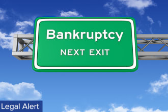 help you to prepare chapter 7 bankruptcy