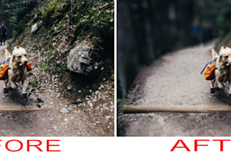 blur the image or photo background