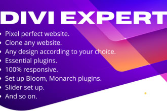 make your divi website