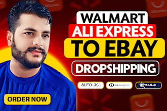 do aliexpress, amazon, or walmart to ebay dropshipping