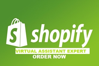 be your shopify virtual assistant and store expert