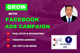 create and manage facebook ads campaign, instagram ads professionally