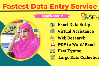 do fastest data entry, copy paste, fast typing, excel data entry