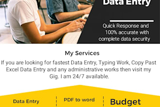 do fastest data entry, excel and ms office typing work