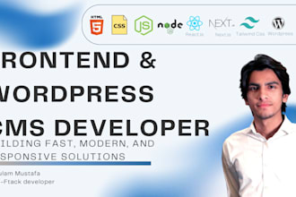 develop a custom frontend or wordpress cms with modern UI