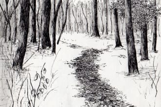 create a black and white hand drawn illustrations in ink