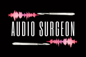 tune vocals for your song