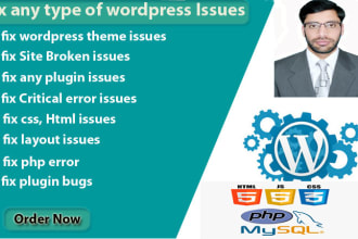 fix wp error, wordpress, debug, theme,templet,issues
