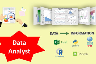 do the best statistical data analysis and machine learning tasks for you