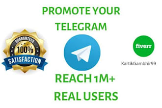 do telegram and website promotion