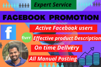 promote any business in the USA by facebook marketing