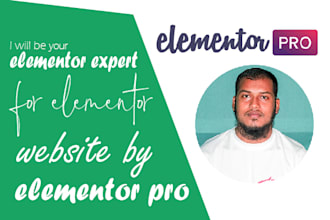 be elementor expert for elementor designer by elementor pro