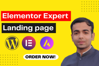 design elementor wordpress website, landing page with elementor pro, astra pro