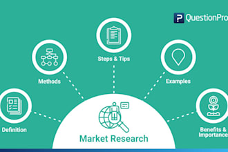 do market research and  build marketing plan