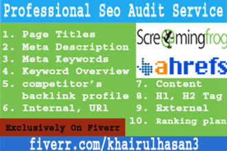 do a professional SEO audit with screaming frog by paid tool