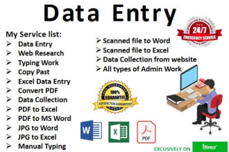 do data entry, file convert, data collection,data validation