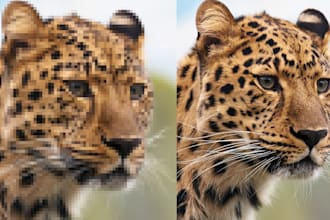upscale low resolution photos to high resolution with ai