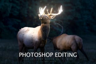 do photoshop editing, photo manipulation and retouching
