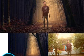 do professional photo manipulation or any photoshop work