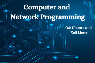 do high level network programming  and security digital forensics projects