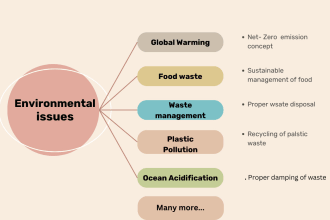 write research articles on environmental issues