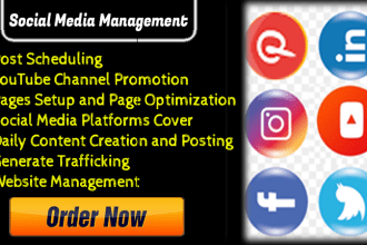 be your result oriented social media manager and pa
