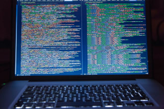 develop custom ios, android and web applications