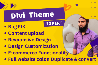 be your expert for wordpress divi, divi builder or divi theme