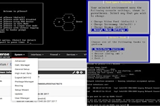 configure cisco switches  routers and firewalls pfsense vpn
