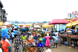 comprehensive market and business research in nigeria