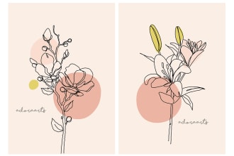 draw line art illustration botanical and flower beautifully
