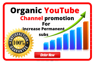 do organic youtube channel promotion