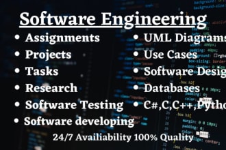 do IT related projects reports, assignments, and research