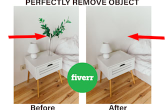 perfectly add or remove object and people from image