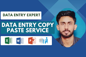 data entry, copy paste, web research, excel data entry, pdf to excel