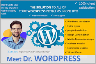 amazing responsive wordpress website or business website
