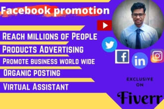 do facebook marketing, advertising, promotion and page setup