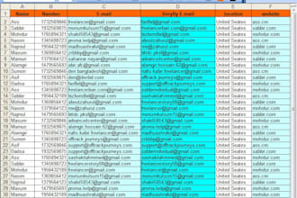 provide full time email support and customer service