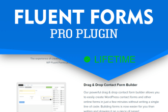 setup fluent form pro plugin