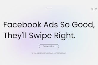 run facebook ads campaign, fb advertising