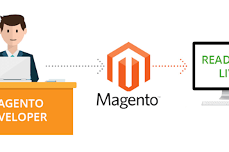 work, fix, or customize your magento website