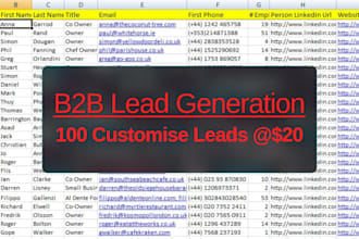 do b2b lead generation cold email n cold calling list linkedin lead list