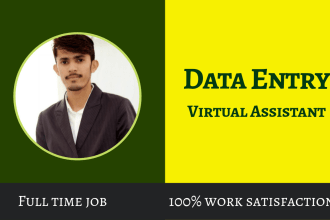 do data entry VA,copy paste,email collection,web scraping,extraction