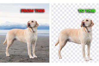 delete or replace the background of your pictures quick