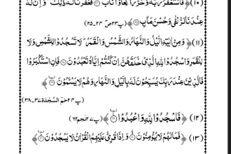 your quran, hifz and tajweed tutor