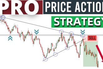 provide you advance price action forex master class