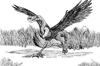 draw monsters, creatures, and animals, etc